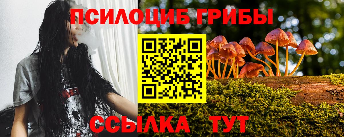 Псилоцибиновые грибы Psilocybe  Вход с VPN  Новочебоксарск 