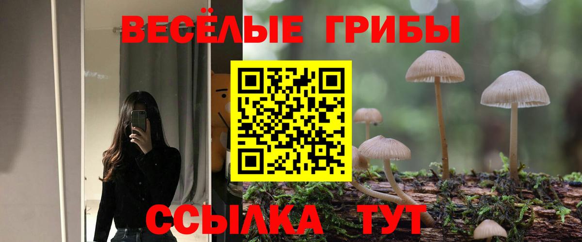 Галлюциногенные грибы MAGIC MUSHROOMS Новочебоксарск